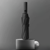 Compact Travel Umbrella with Windproof Design